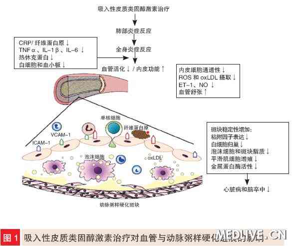 炎症反应还是慢性阻塞性肺病(copd)与哮喘发生与发展的重要