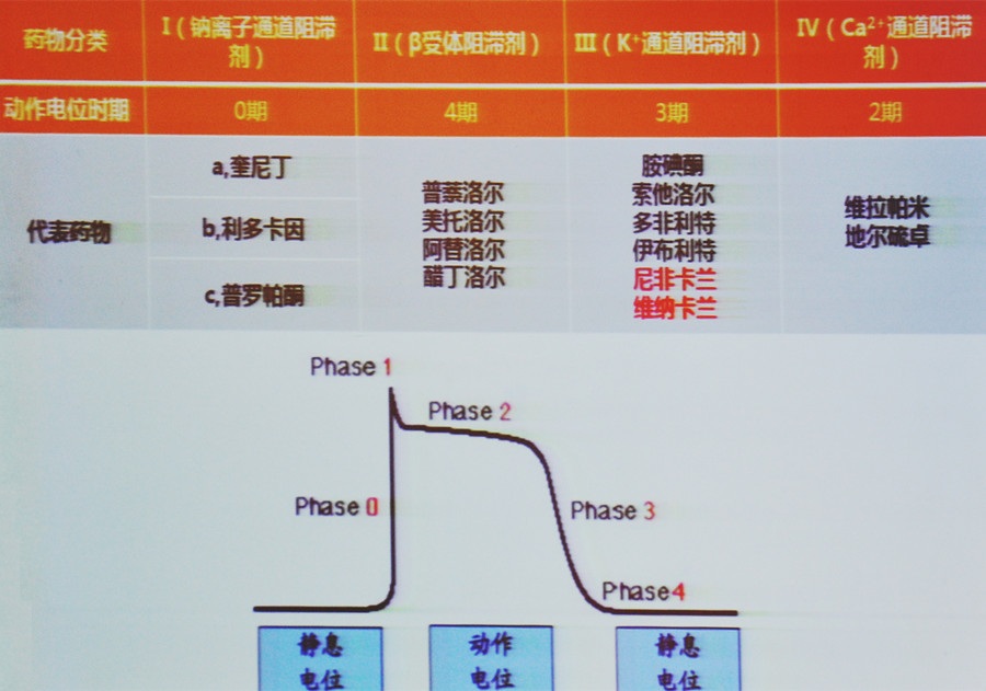 杨艳敏教授:抗心律失常的老药和新药