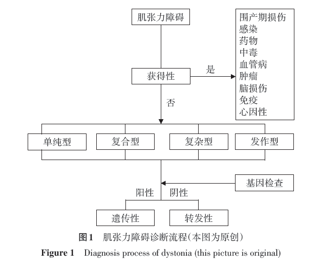 一图一表快速掌握肌张力障碍的诊断与评估丨指南共识