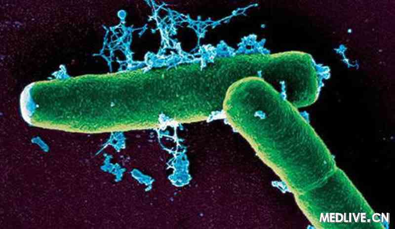瑞士天使肉毒杆菌图片