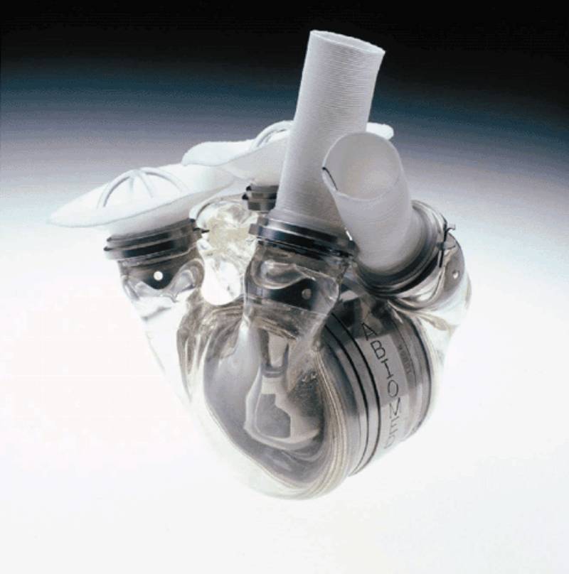 人工心脏瓣膜真实图片图片