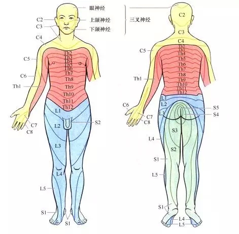 13神经科查体 从入门到精通