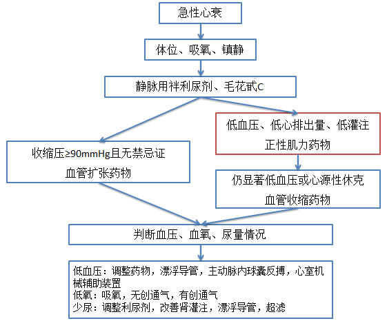 杨志明:急性心力衰竭中正性肌力药物的应用要点