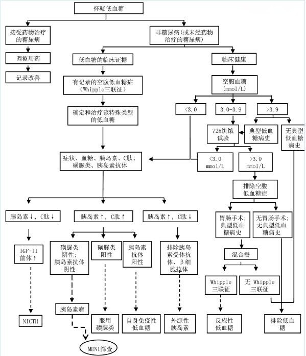 非胰岛细胞肿瘤所致低血糖一例及文献复习