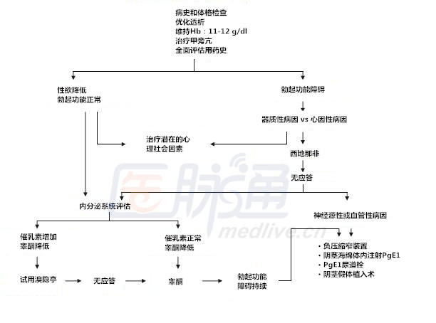 慢性肾脏病患者性功能障碍诊疗流程图