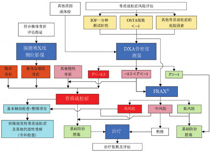 世界骨质疏松日,谈谈骨质疏松药物治疗