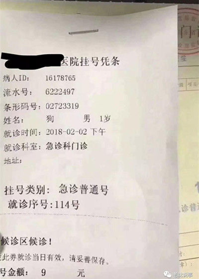 关于北京中西医结合医院黄牛号贩子挂号优先跑腿代处理住院的信息