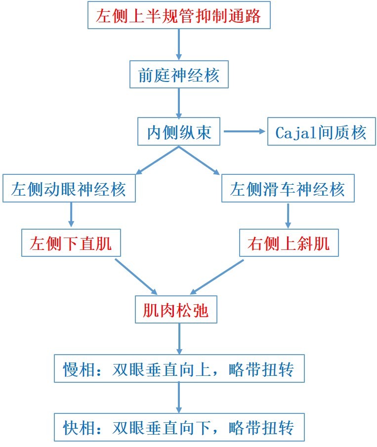 图文共赏,后半规管bppv眼震再认识丨晕筹帷幄