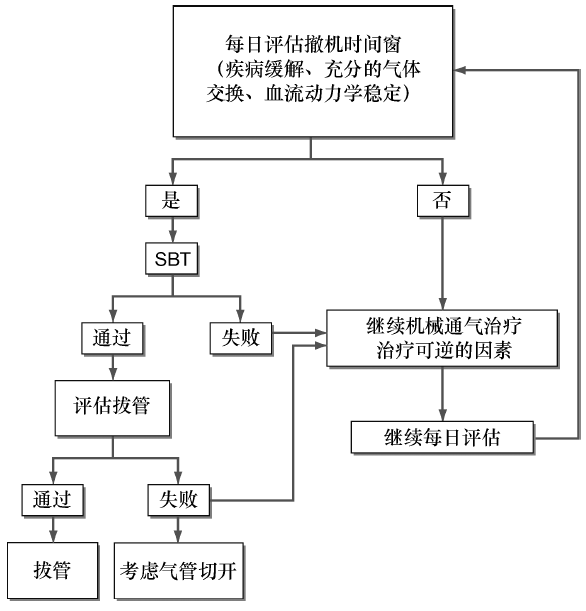 图文并茂,搞懂机械通气技术(下篇)