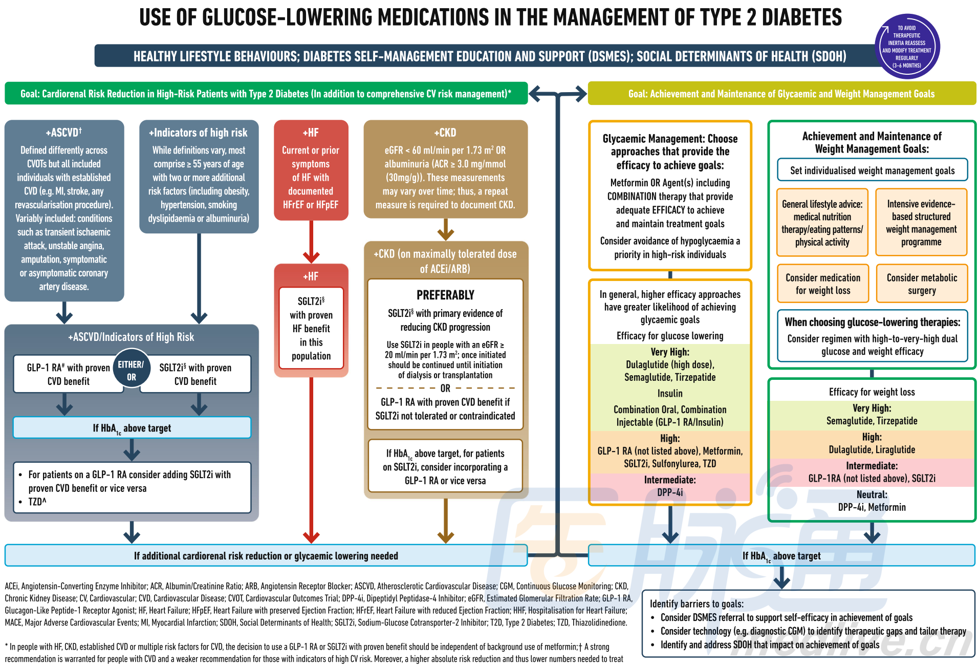 《ADA/EASD：2型糖尿病高血糖管理共识（2022）》重磅发布！全新「药物推荐路径图」！ 2022ADA_EASD_医脉通
