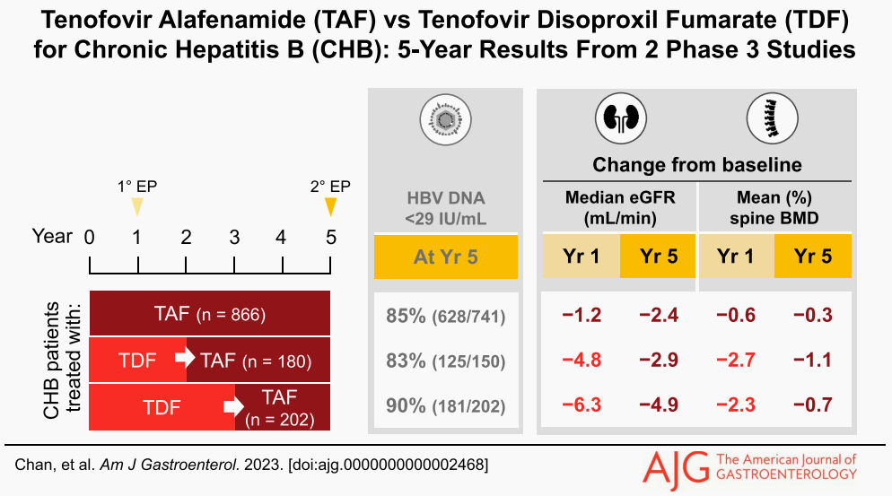 导读-Long-term Treatment With Tenofovir Alafenamide for Chronic Hepatitis B Results in High Rates of Viral Suppression and Favorable Renal and Bone Safety.png